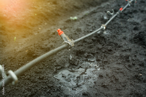Bilde på lerret Irrigation system close up