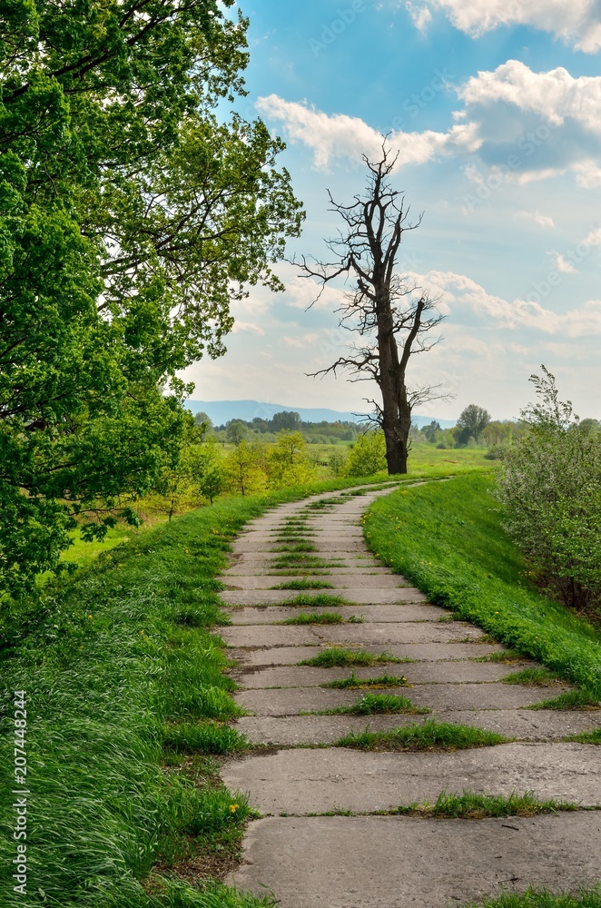 Beautiful spring landscape. Concrete road in the countryside.