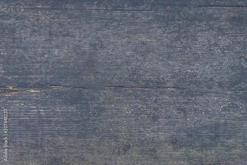 The natural background is an old dark tree.