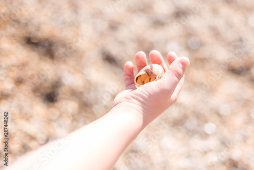 A shell in the hand of the child on the background of golden sand.