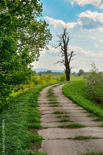 Beautiful spring landscape. Concrete road in the countryside. © shadowmoon30