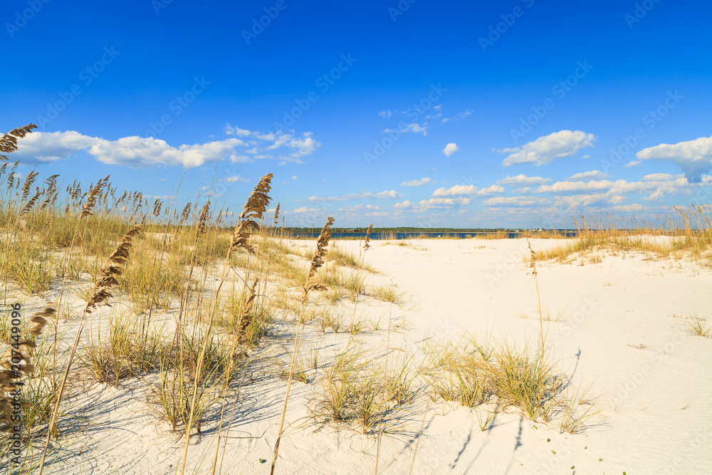 Beautiful Florida panhandle beach