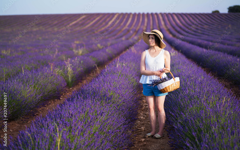 custom made wallpaper toronto digitalChica en campo de lavanda