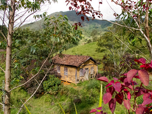 Pequena casa de pau-a-pique por entre as folhagens photo