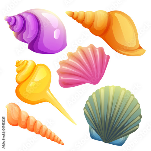 sea shell element set