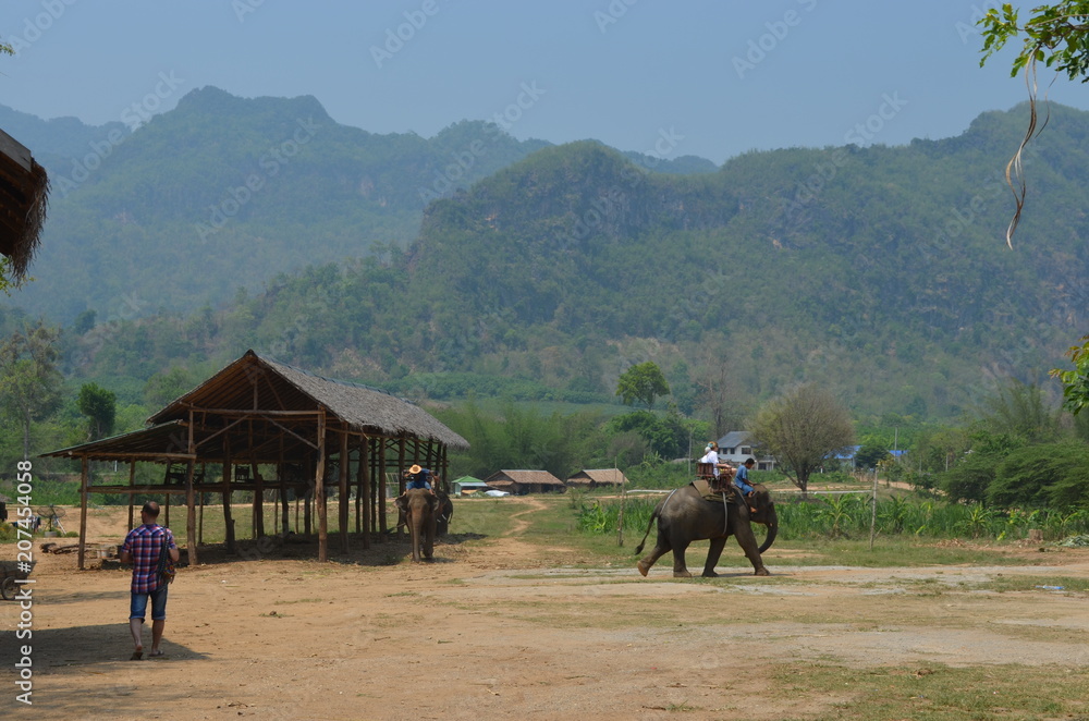 village elephant