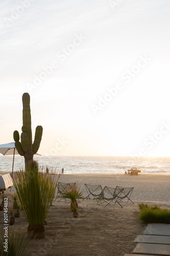 Dusk landscape at beach in Baja California Sur, Mexico photo