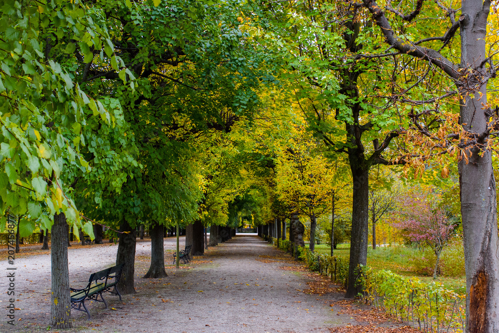 Autumn colours start to show through in the trees in Schonbrunn public park in the Heitzing district of Vienna, Austria Autumn colours start to show through in the trees in Schonbrunn public park in the Heitzing district of Vienna, Austria