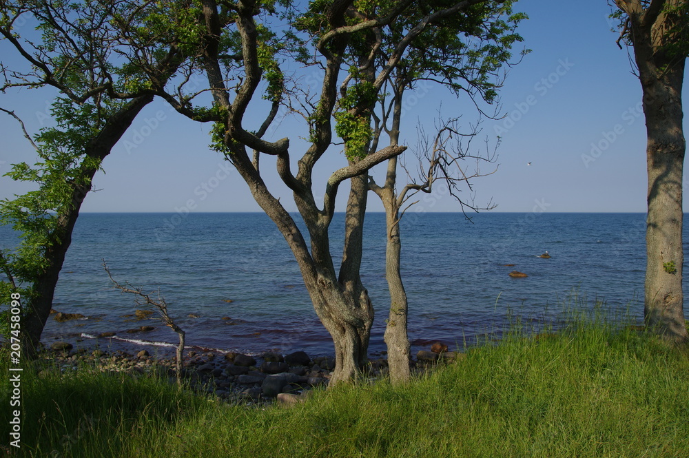 Küste auf Fehmarn