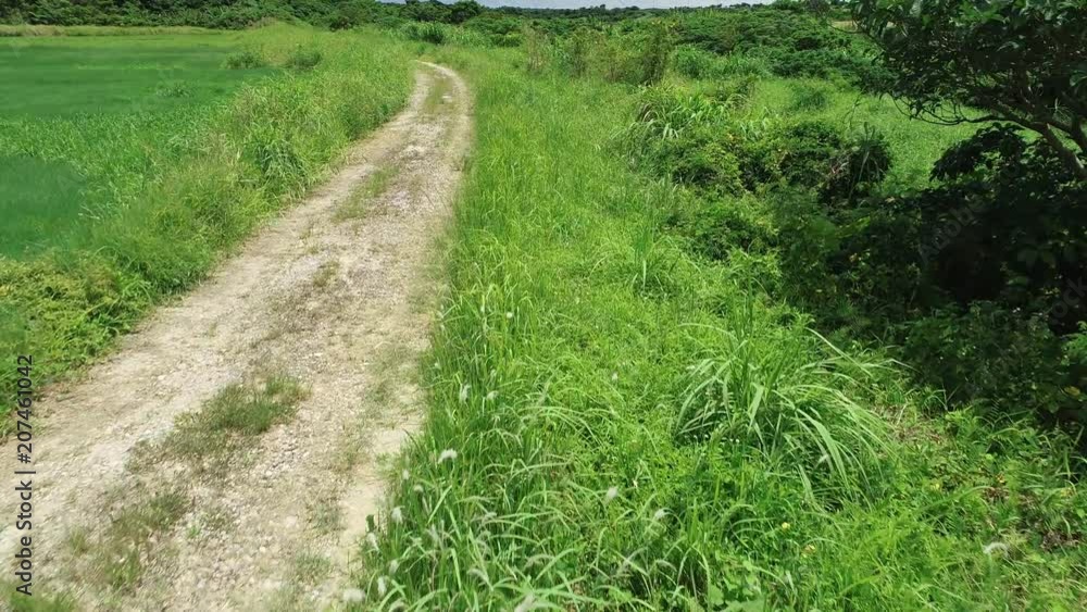 石垣島の農道 石垣島の農道