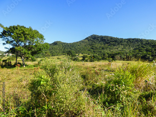 Landscape of the countryside in Florianopolis  Atlantic Forest biome