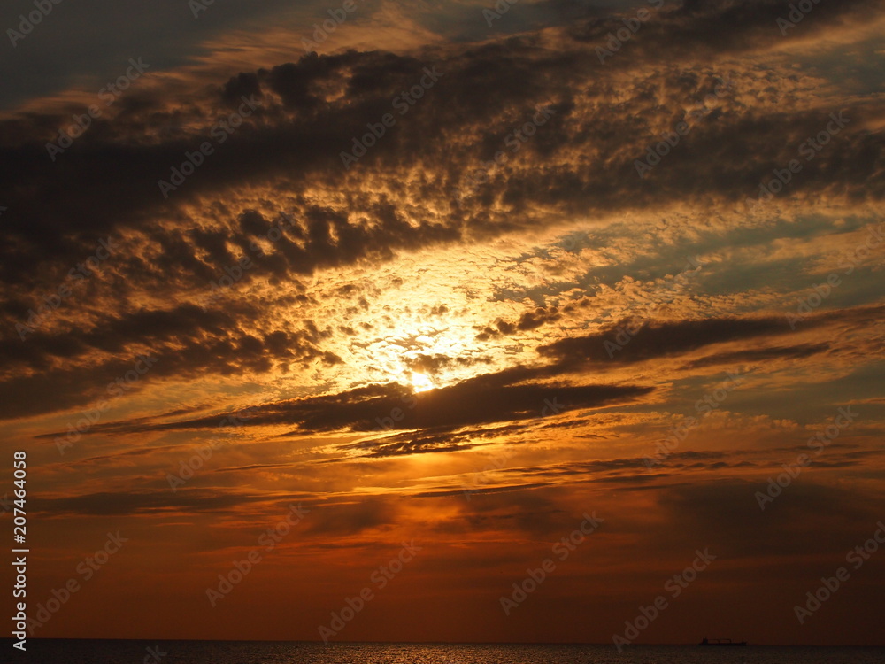 Obraz premium OLYMPUS DIGITAL CAMERA