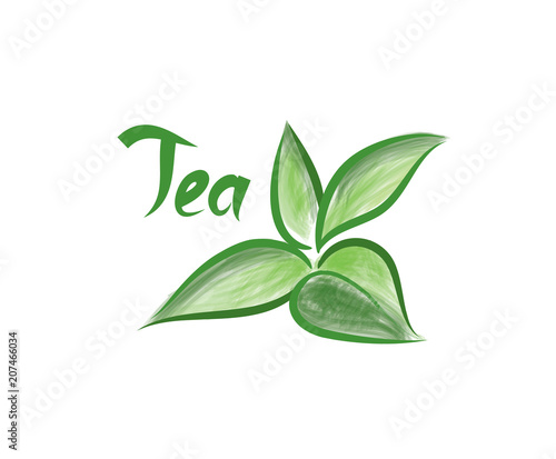 Fototapeta Naklejka Na Ścianę i Meble -  Green tea tree branch herb label with lettering TEA. Tea leaves