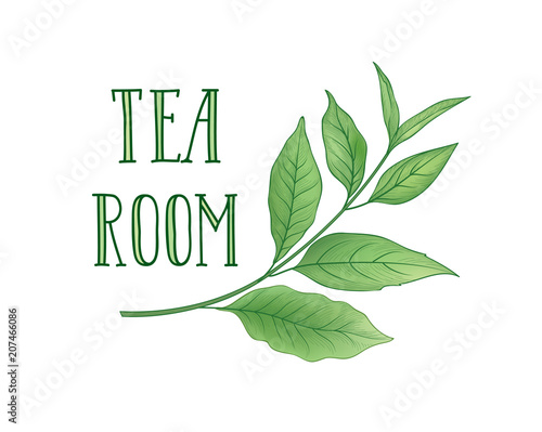 Green tea tree branch herb label. Lettering TEA ROOM, leaves photo