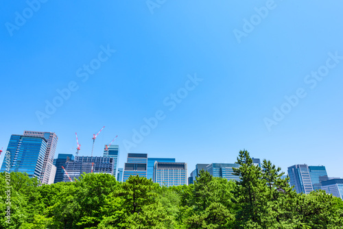 初夏の高層ビル群 Tokyo city landscape and fresh green in Otemachi Marunouchi.