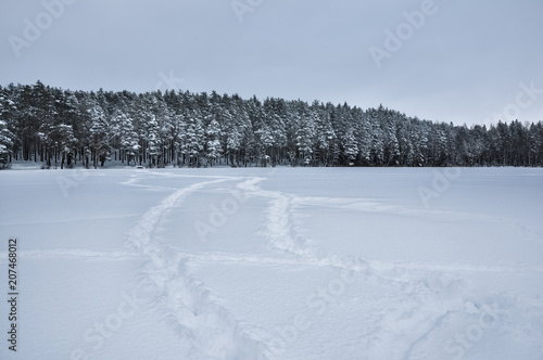 Footsteps tracks on snowed frozen lake against pine forest.
