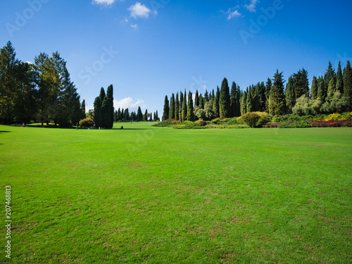Large green lawn at the edge of the forest.