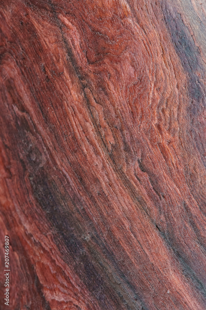 Redwood grain closeup Redwood grain closeup