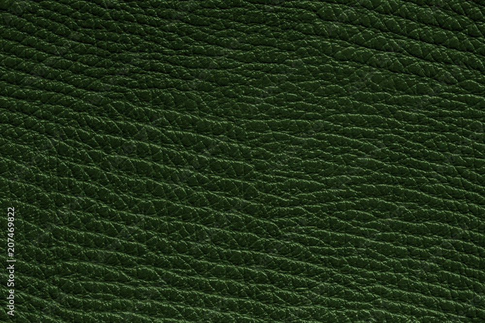 Green textured background. / Leather surface close up for wallpaper or backdrop Green textured background. / Leather surface close up for wallpaper or backdrop