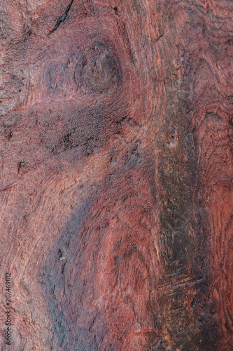 Redwood grain closeup