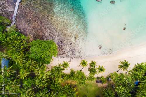Wallpaper Mural Tropical white sand bech with coconut palm tree background idyllic turquoise sea Torontodigital.ca