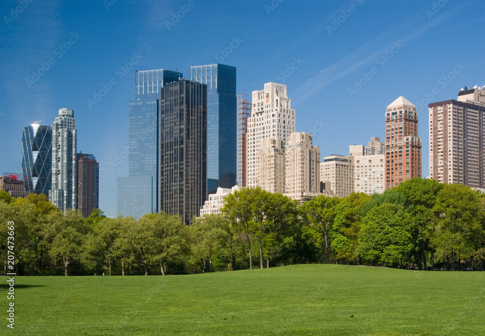 Sheep Meadow in Central Park with Central Park West skyline