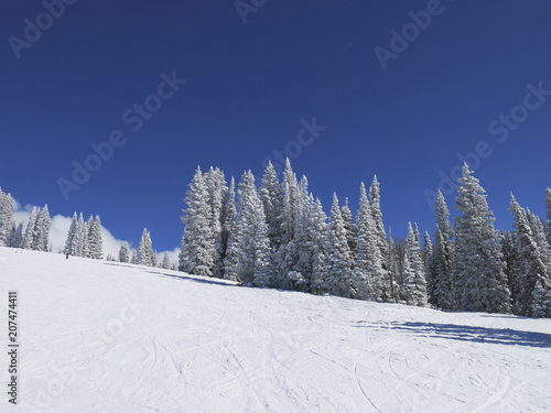 Wallpaper Mural                             Snow trees     Steamboat Torontodigital.ca