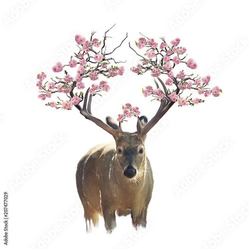 Deer portrait with flowering branches watercolor
