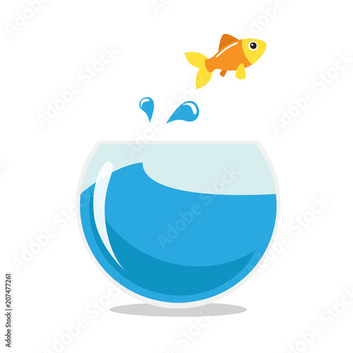Golden fish jumping