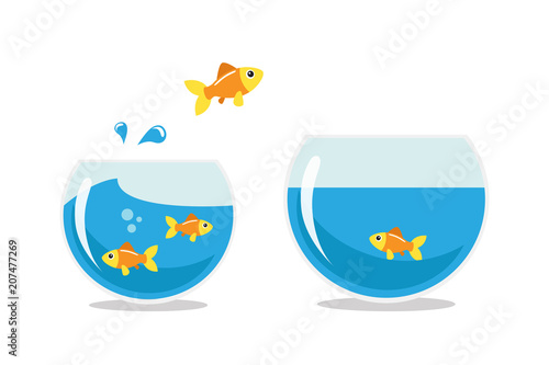Golden fish jumping
