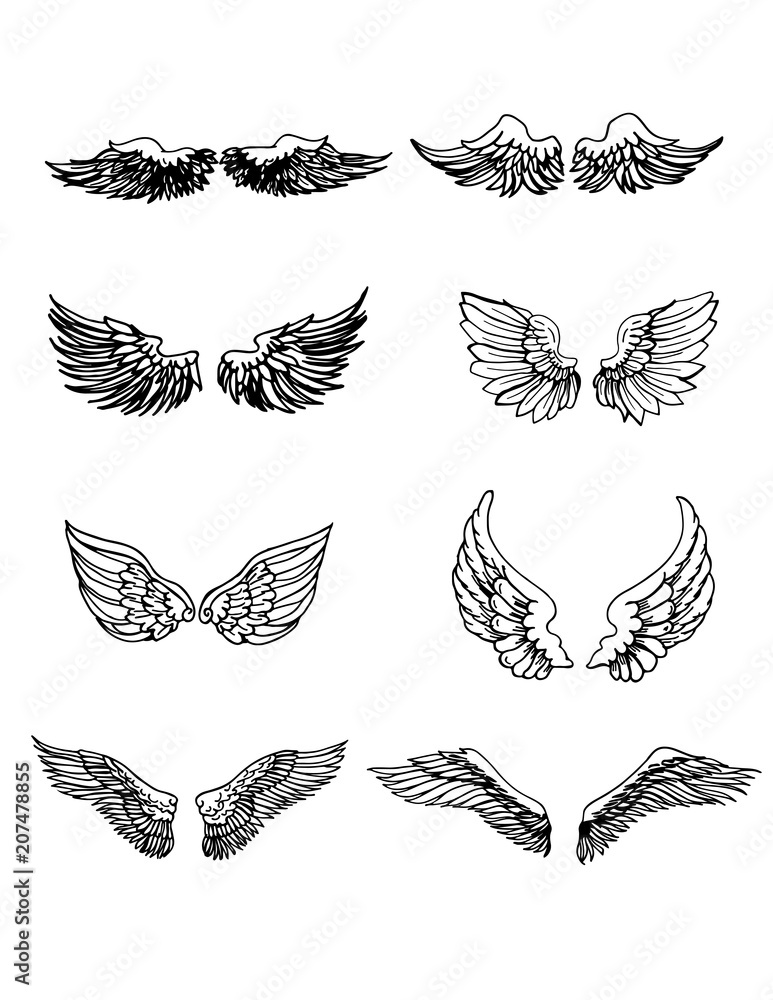 Set of Wings Hand Drawn vector Set of Wings Hand Drawn vector