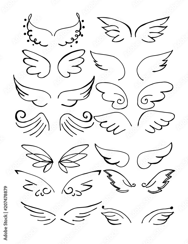 Vecteur Stock Set of Wings Hand Drawn vector | Adobe Stock