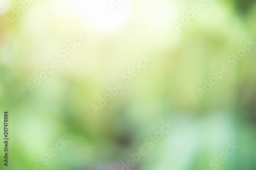 abstract spring green blurred bokeh background with sunlight effects.