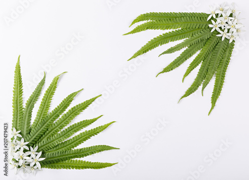 Top view of a composition from the leaves of a fern and blossoming buds of flowers on a white background.