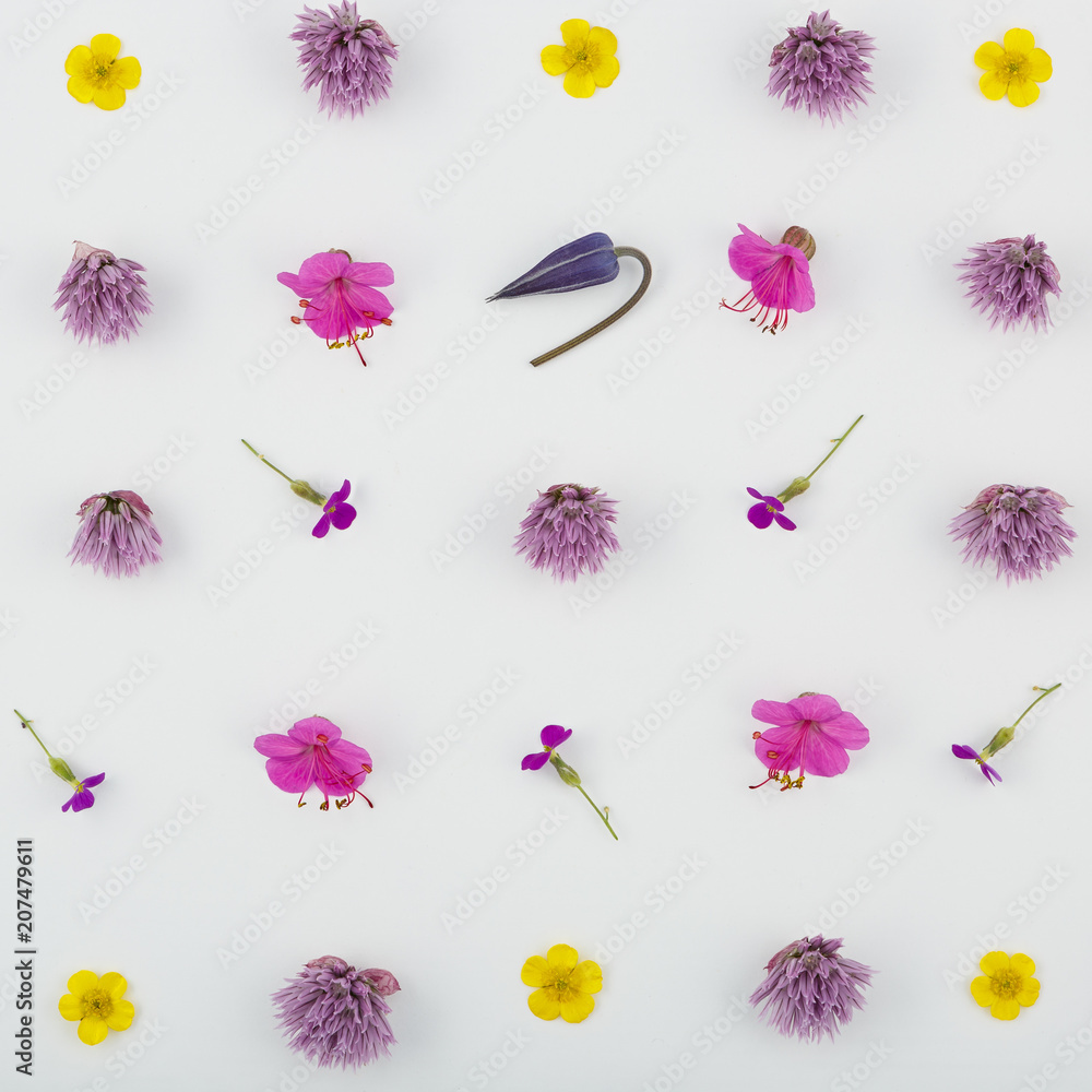 Obraz premium Top view of a flower composition on a white background. A pattern of flowering buds of garden plants