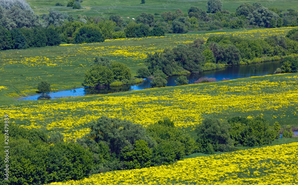 Landscape in the valley of the Don River in central Russia. Top view of the spring coastal forest and pond.