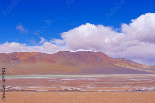 Beautiful landscape with puna grassland, snow-covered mountains and lagoon, near Paso De Jama, Chile, South America
