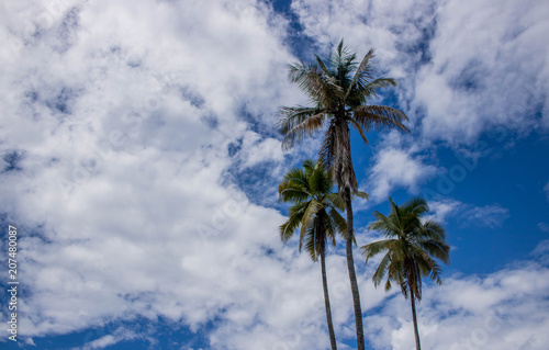 Caribe © Sven Ryder