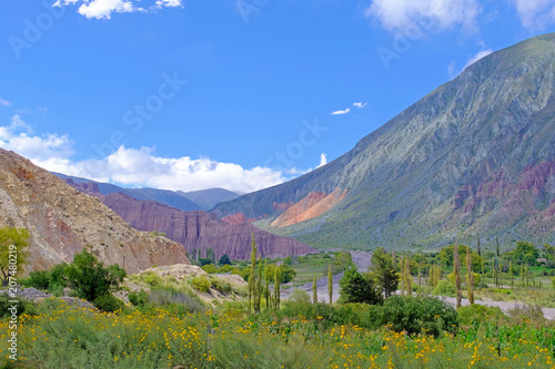 Colorful landscape at the Cuesta De Lipan canyon from Susques to Purmamarca, Jujuy, Argentina, South America