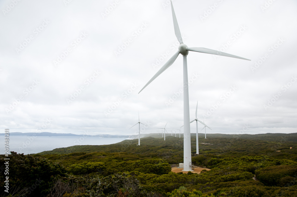 Albany Wind Farm - Australia
