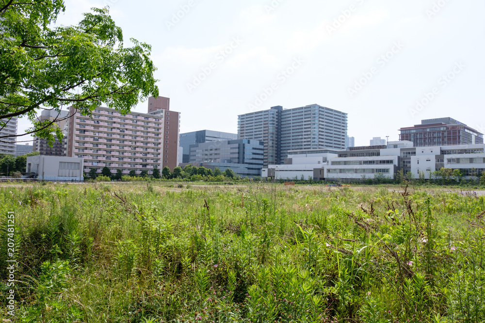 豊洲 更地 豊洲 更地