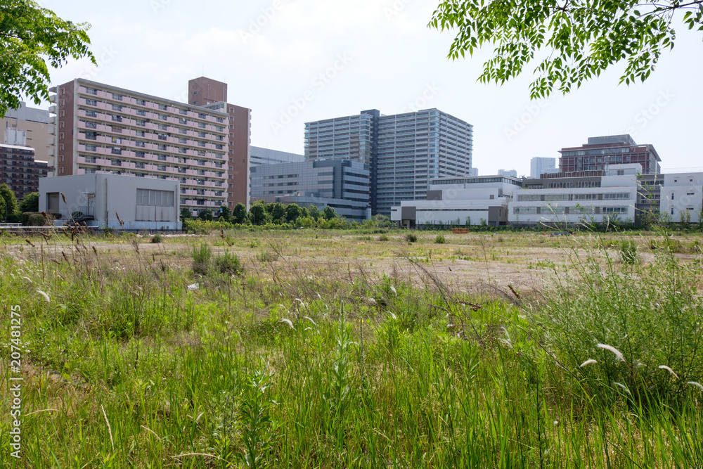 豊洲 更地 豊洲 更地