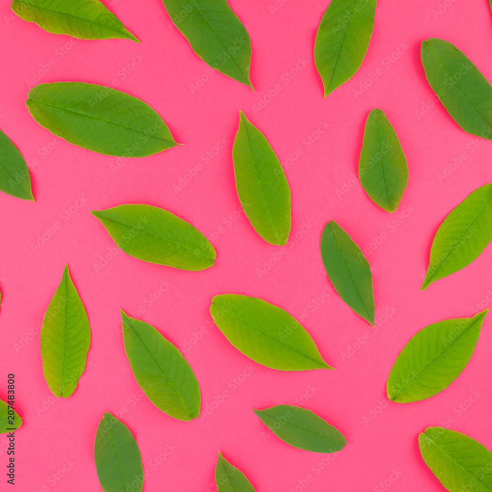 Flat lay pattern with fresh green leaves Flat lay pattern with fresh green leaves