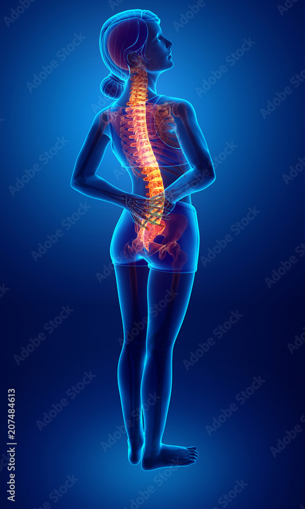 Women Feeling the Back pain Women Feeling the Back pain