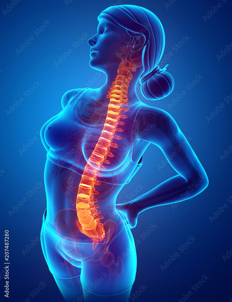 Women Feeling the Back pain Women Feeling the Back pain