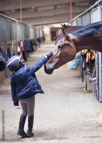 Young girl strokes a big horse before riding