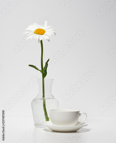 one chamomile flower and a cup in a vase on a table by the wall, white background © soleg