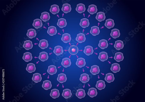 cancer cell stage and development vector