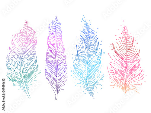 Colored bird feathers isolated objects - blue, purple, green and pink, boho style. Vector illustration.