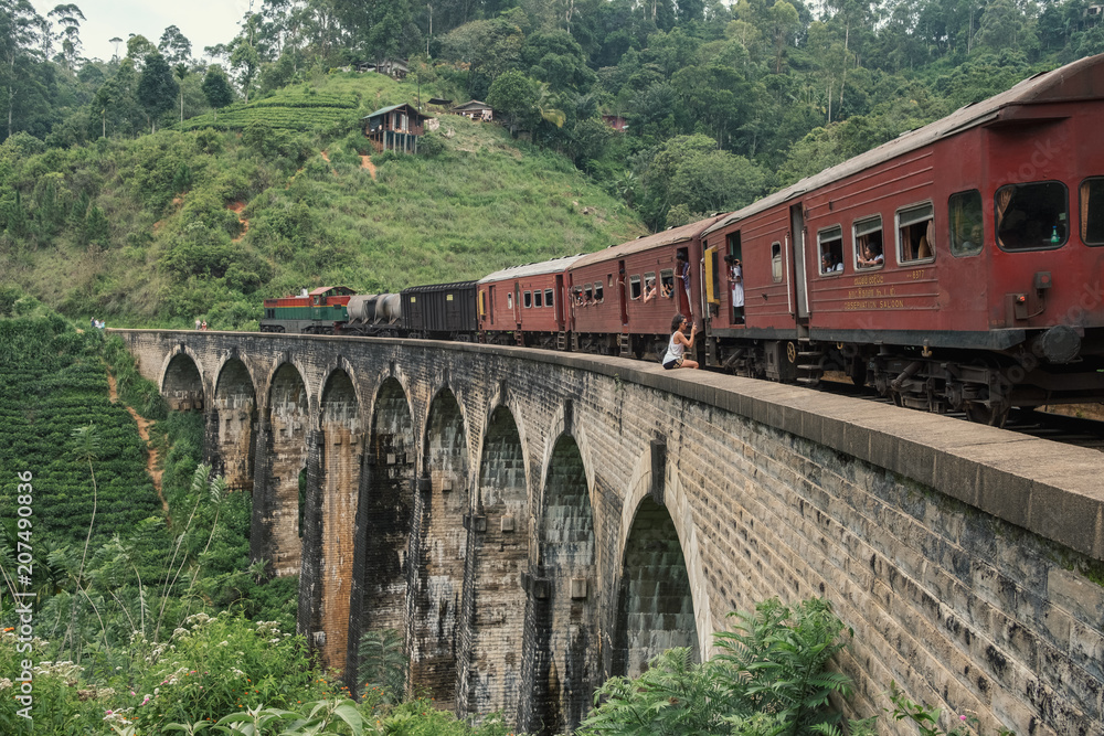 Train crossing Nine Arches bridge, Ella, Sri Lanka
